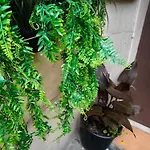 Location Old Town Choise Апартаменти *