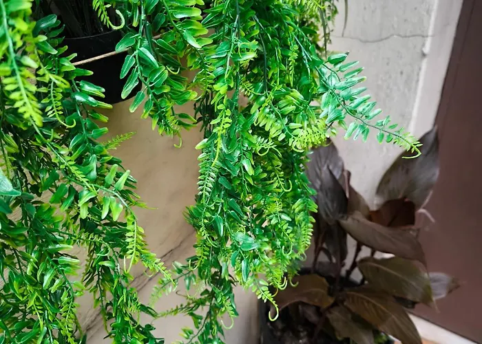 Location Old Town Choise Διαμέρισμα *